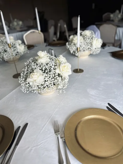 Bloom Room — dla-firm