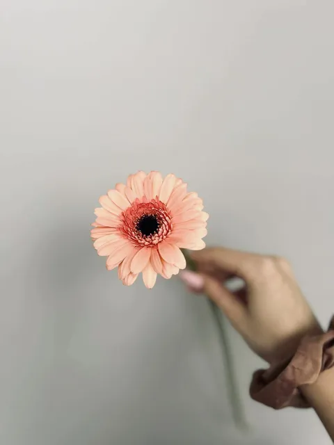 Bloom Room — o-nas